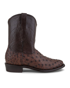 San Andres Bota De Avestruz Chocolate