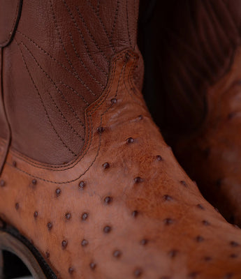 Botas de Avestruz