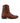 Arrieta Caiman Nuez